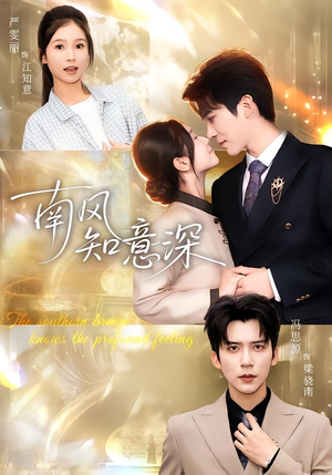 南风知意深（40集）超火热门短剧