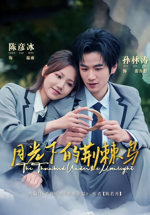 月光下的荆棘鸟（80集）短剧视频分享