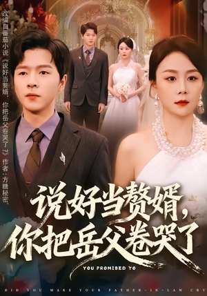 说好当赘婿，你把岳父卷哭了（80集）好看短剧追不停