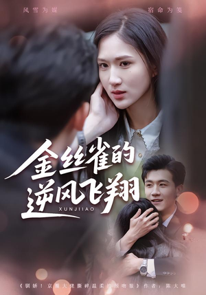 金丝雀的逆风飞翔（80集）在哪里看