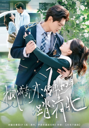 枫城奇才：传承加身踏清北（80集）在哪里可以看