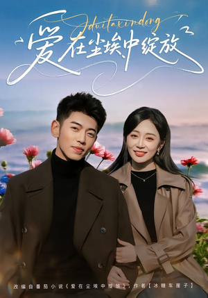 爱在尘埃中绽放（86集）短剧更新抢先看