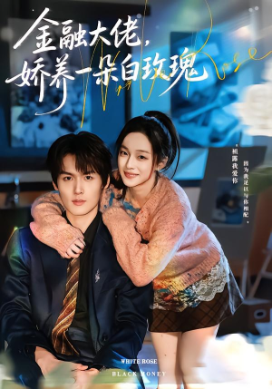 金融大佬，娇养一朵白玫瑰（70集）短视频追剧推荐