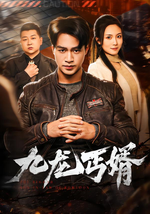 九龙丐婿（81集）全集完整版