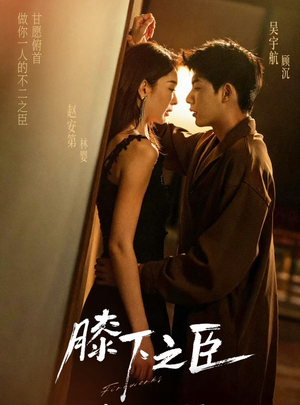 膝下之臣（56集）精彩短剧推荐