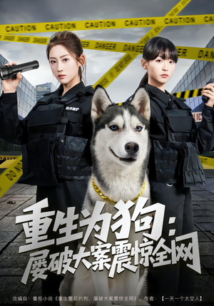 重生为狗屡破大案震惊全网（80集）零花钱看整部剧