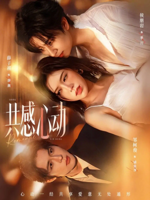 共感心动（66集）精彩短剧免费看