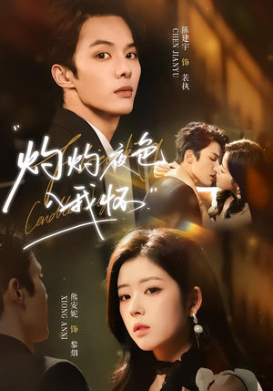 灼灼夜色入我怀（60集）热门短剧榜单