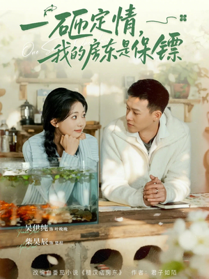 一砸定情，我的房东是保镖（70集）真的好看吗