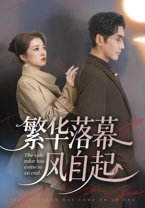 繁华落幕风自起封面