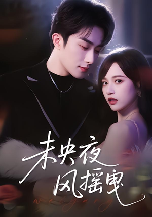 未央夜风摇曳封面