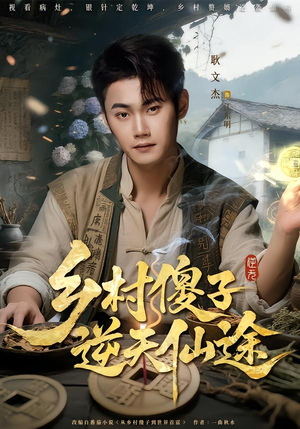 乡村傻子逆天仙途封面