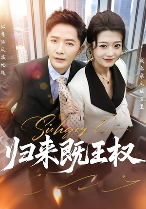 归来既王权封面