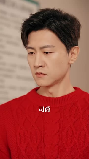 到此飞鸟不相逢封面