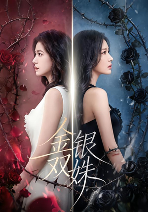 金银双姝封面