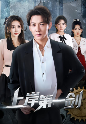 上岸第一剑封面