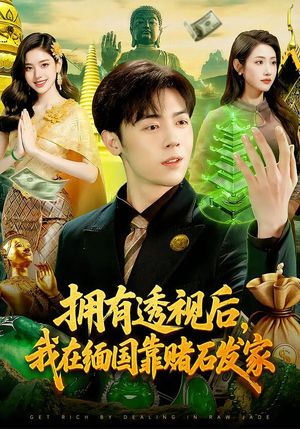 拥有透视后，我在缅国靠赌石发家封面