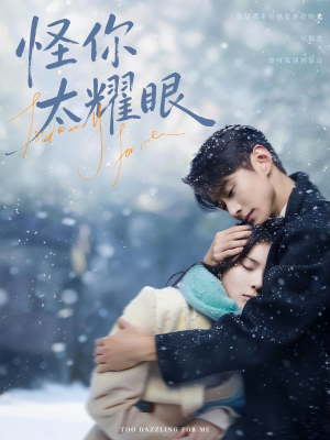怪你太耀眼封面