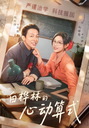 白桦林的心动算式封面