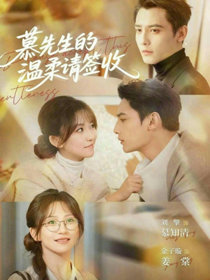 慕先生的温柔请签收封面