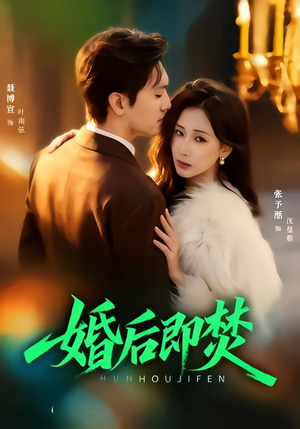 婚后即焚封面