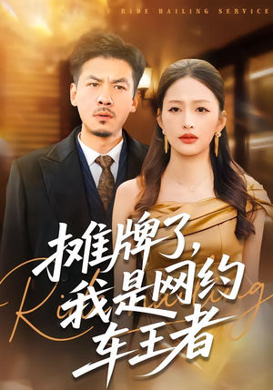 摊牌了，我是网约车王者封面