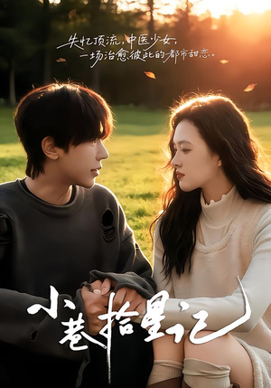 小巷拾星记封面