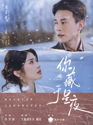 你藏于星夜封面