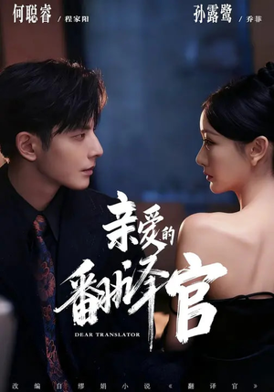 亲爱的翻译官封面