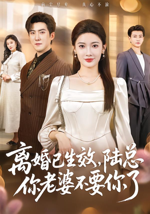 离婚已生效，陆总你老婆不要你了封面