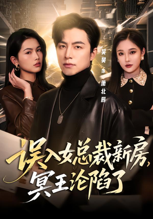 误入女总裁新房，冥王沦陷了封面