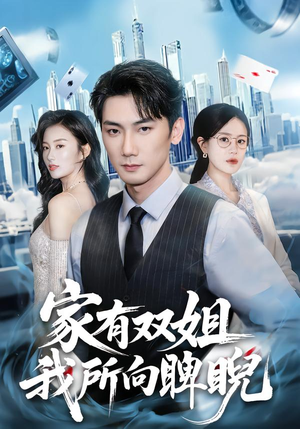 家有双姐，我所向睥睨封面