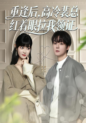 重逢后，高冷裴总红着眼拉我领证封面