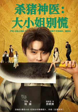 杀猪神医，大小姐别慌封面