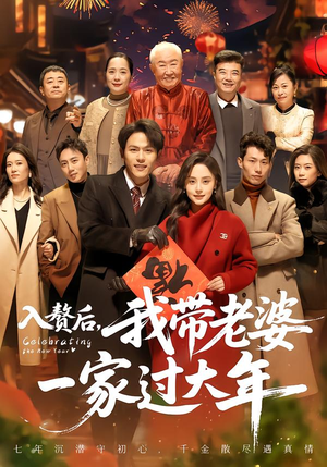 入赘后，我带老婆一家过大年封面