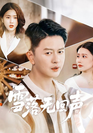 雪落无回声封面