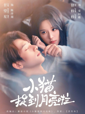 小猫捉到月亮啦（80集）最热短剧推荐