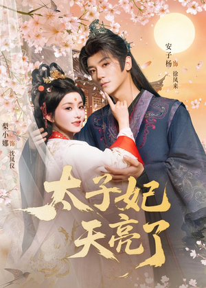 太子妃天亮了（80集）精彩不断免费看