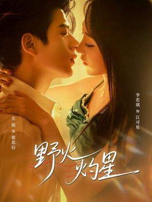 野火灼星（56集）这部短剧太好看