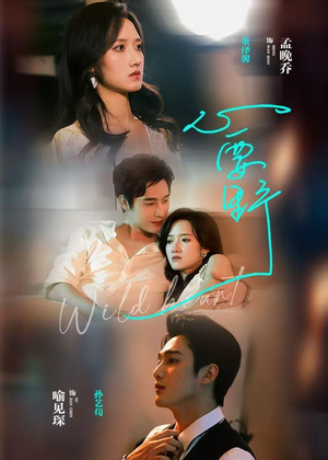 心要野(62集) 心要野(62集)全网独播免费看