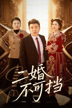 二婚不可挡(36集) 二婚不可挡(36集)热播短剧推荐