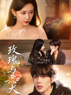 玫瑰与恶犬（80集）超甜短剧分享