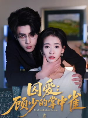 囚爱：顾少的掌中雀（70集）爆款短剧抢先看