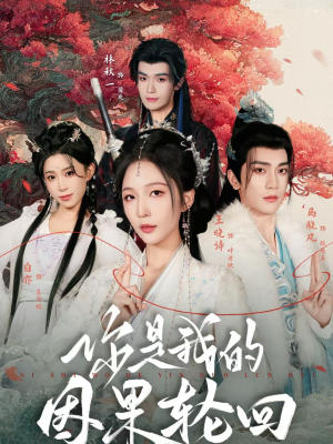 你是我的因果轮回（100集）让你一口气看完