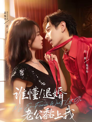 谁懂！退婚老公黏上我（64集）热播短剧全集看