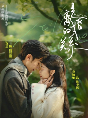 是离婚的关系（67集）经典老剧免费看