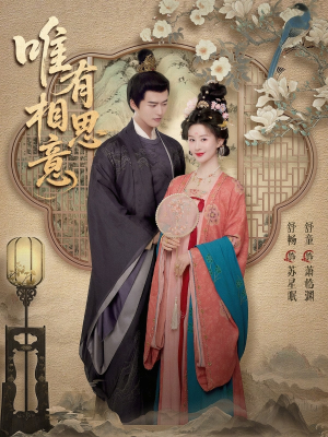 唯有相思意（100集）古装热门短剧