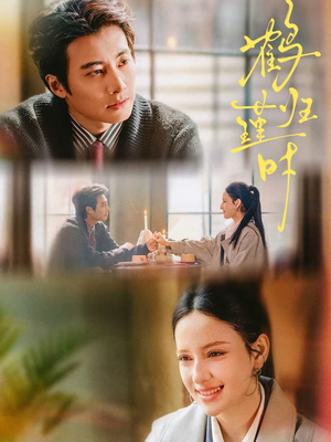 鹤归瑾时（81集）一共多少集