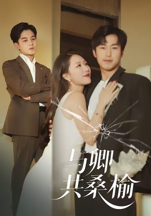 与卿共桑榆（63集）短剧小说在线看