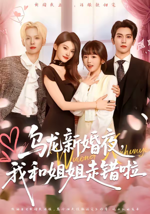 乌龙新婚夜，我和姐姐走错啦（59集）爆款热门短剧